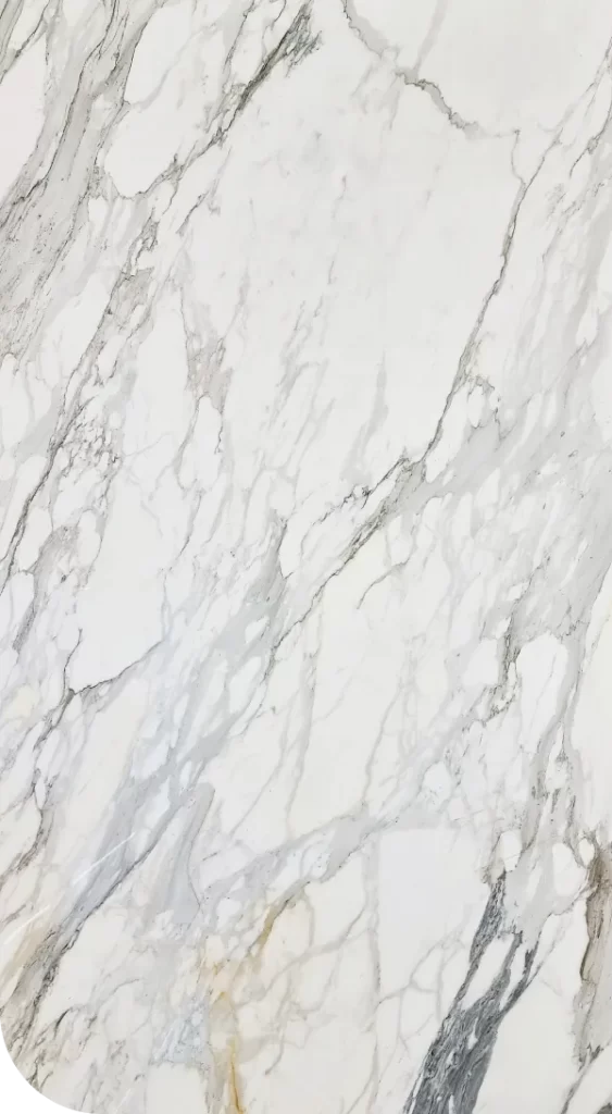 Calacatta Borghini Feature image