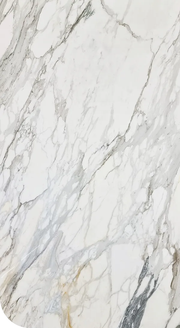 Calacatta Borghini Feature image