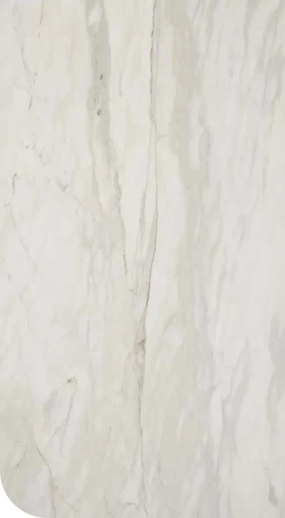 Calacatta Cremo Feature image