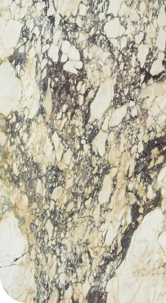 Calacatta Viola Feature image
