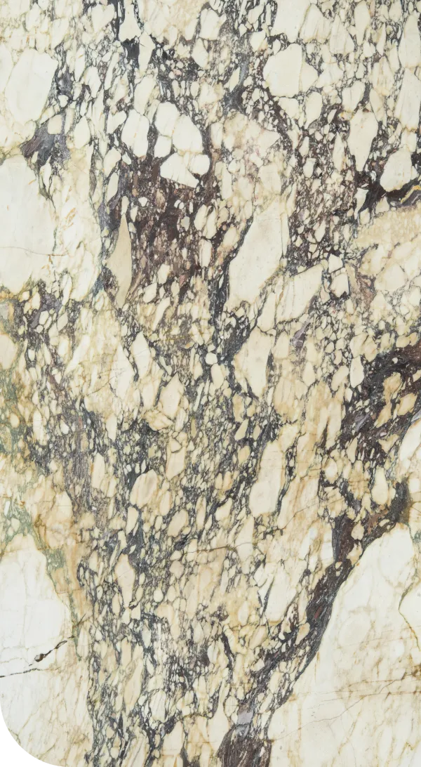 Calacatta Viola Feature image