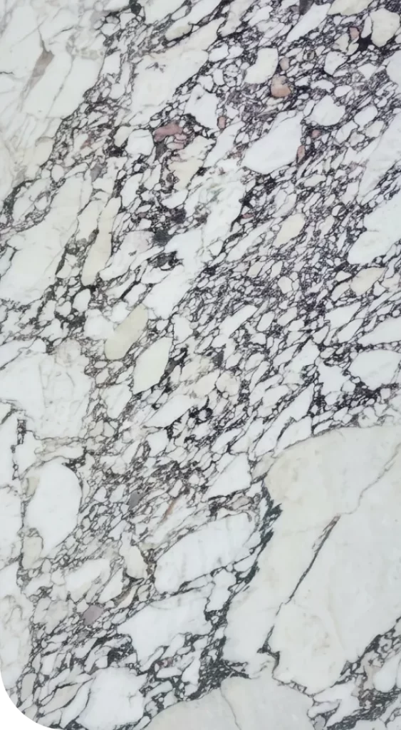 Calacatta Viola Monet Feature image